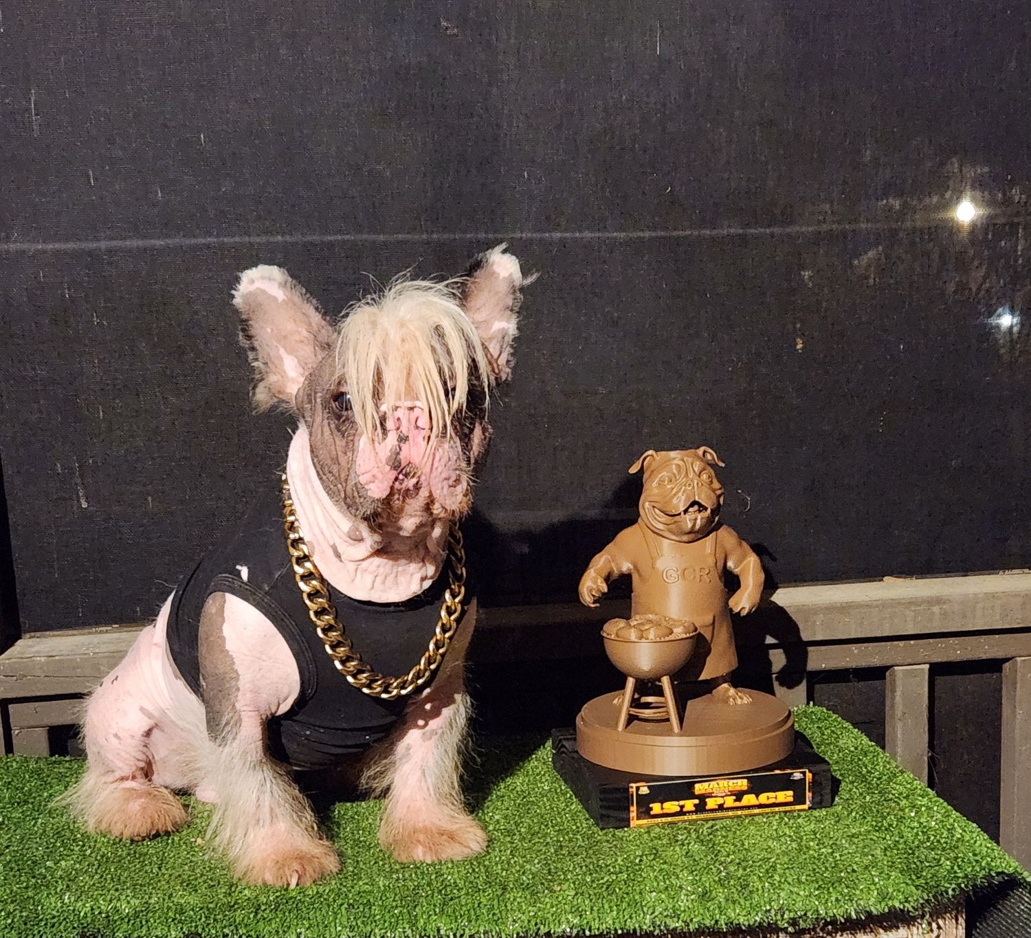 An Itty Bitty Kennels French Bulldog in a gold chain beside a trophy