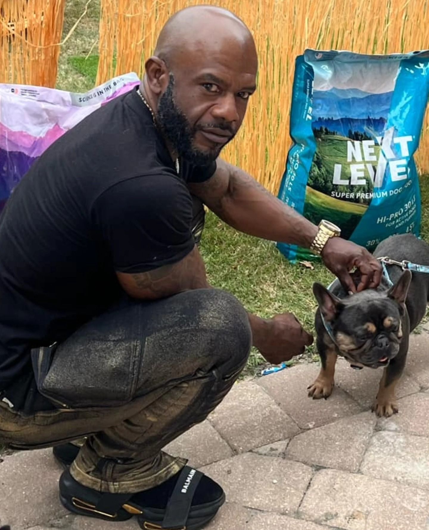 A handler kneeling beside an Itty Bitty Kennels French Bulldog at a show