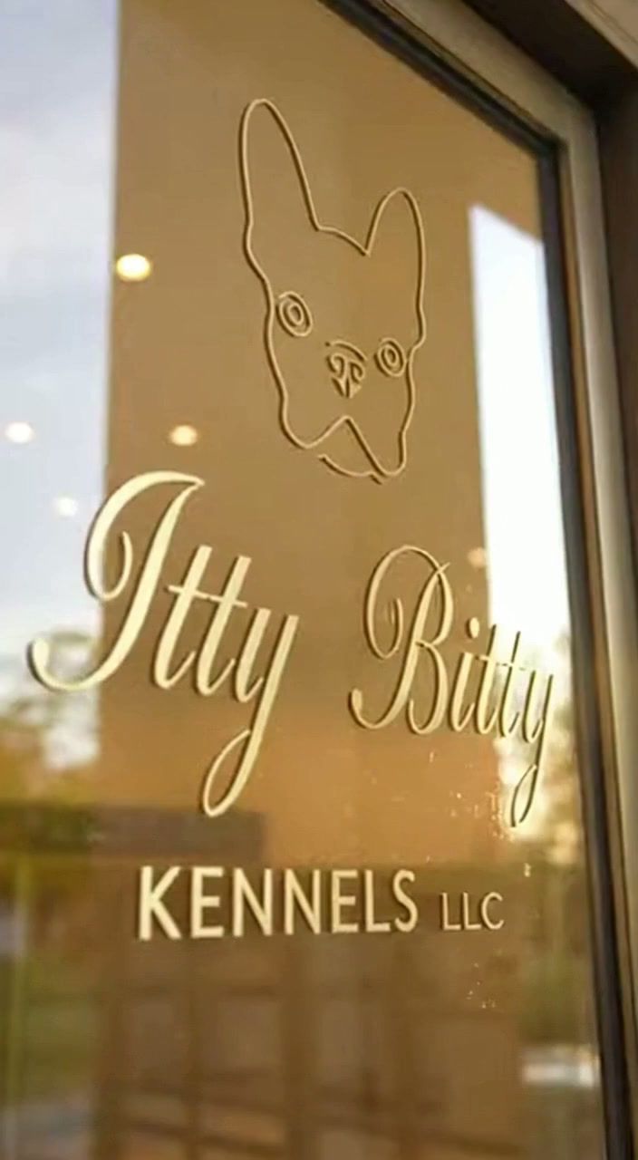 The Itty Bitty Kennels LLC logo lettered in gold on the boutique window